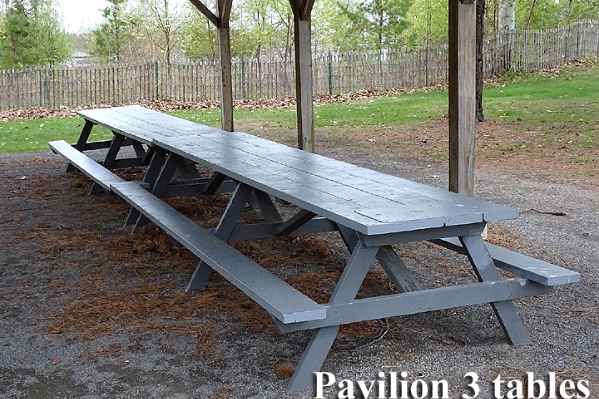 Pavilion #3