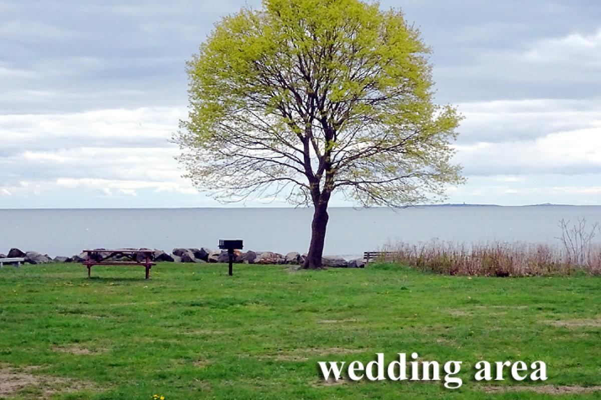 Wedding area